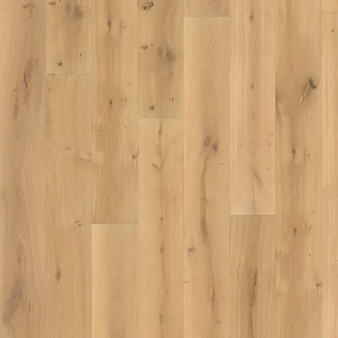 002T14319AC European Oak hardwood swatch