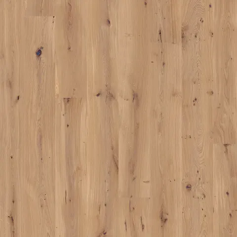 002T14321AM European Oak hardwood swatch