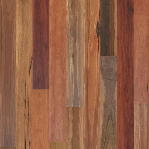 002T14337RSG Australian Spotted Gum hardwood swatch