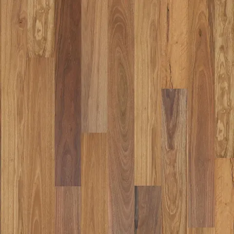 002T14338WSSG Australian Spotted Gum hardwood swatch