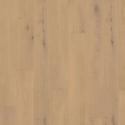 002T14345SE European Oak hardwood swatch