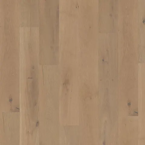 002T14349TU European Oak hardwood swatch