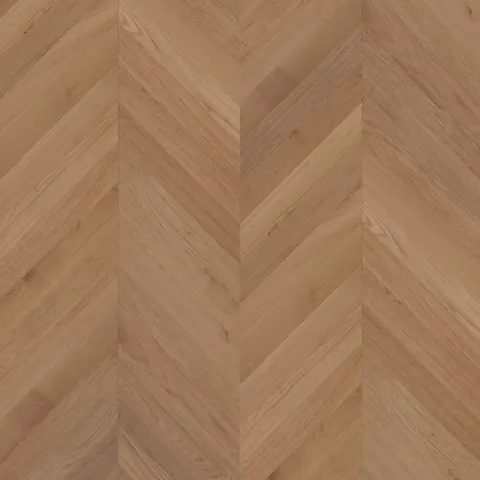 004T153145FOCV European Oak hardwood swatch