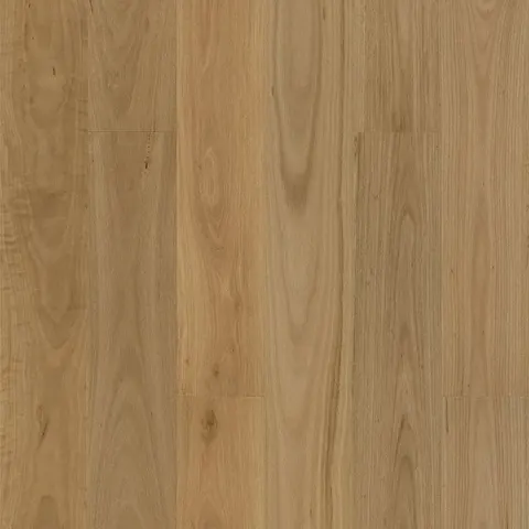 004T153157BBB Australian Blackbutt hardwood swatch