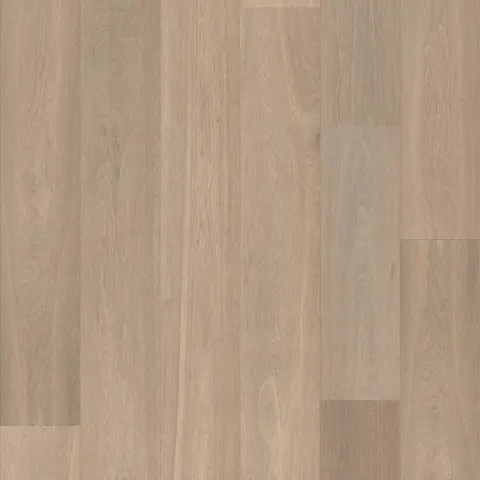 004T15389TGP European Oak hardwood swatch
