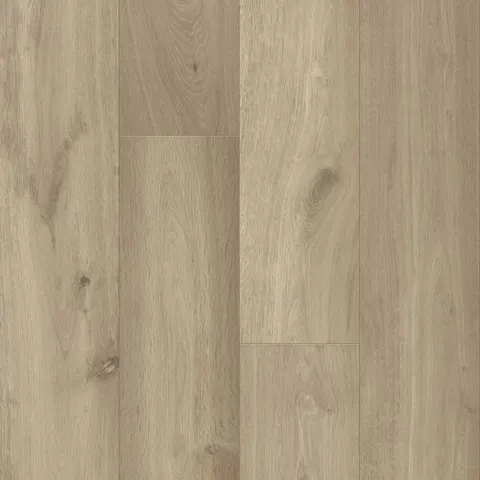 004T204104RBE European Oak hardwood swatch