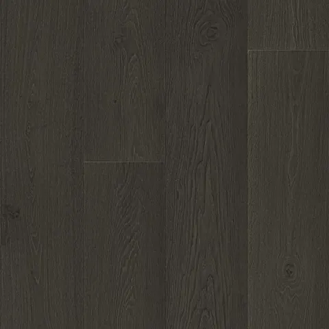 004T204105GG European Oak hardwood swatch