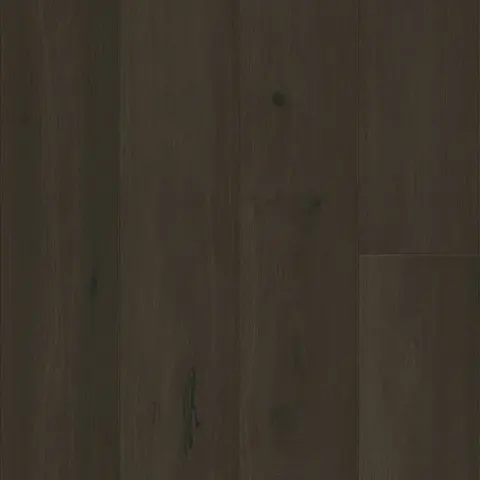 004T204106PBW European Oak hardwood swatch