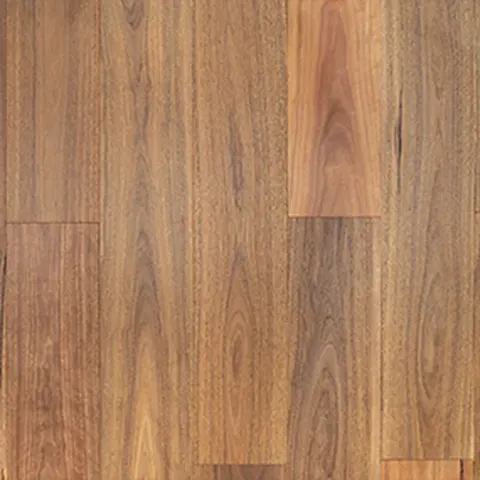 005T15327SG190 Australian Spotted Gum hardwood swatch