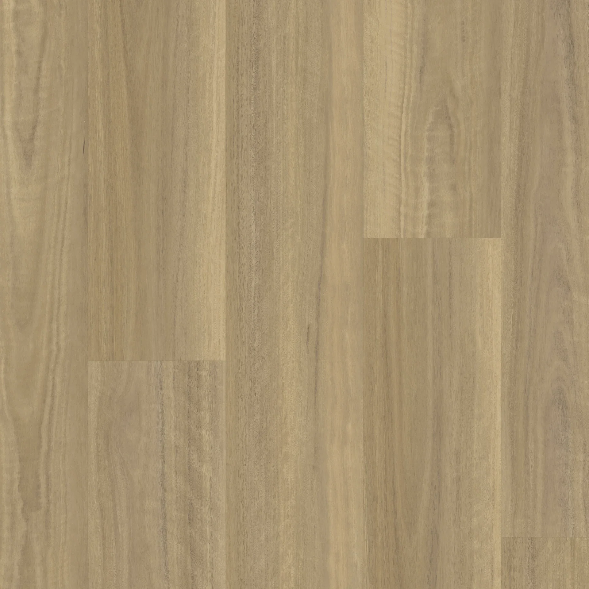 012V4.5004AVTE Avte swatch