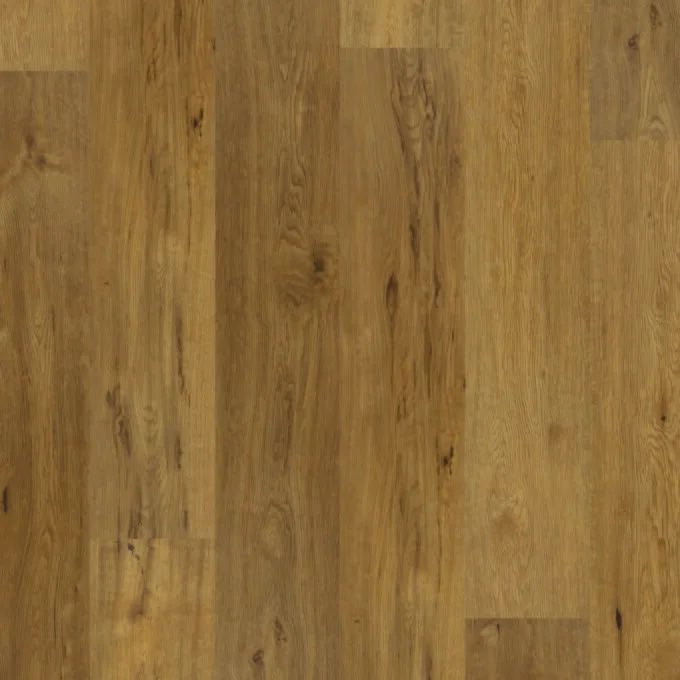 013V20252118GO 2118Go swatch