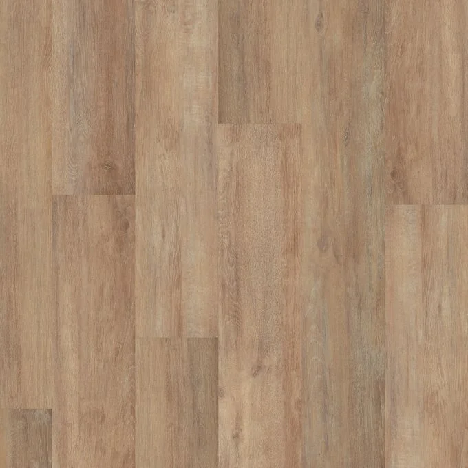 013V50012420GG 2420Gg swatch