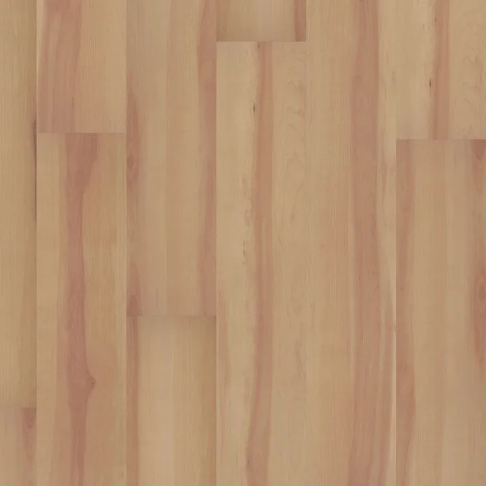 013V50112416SG 2416Sg swatch