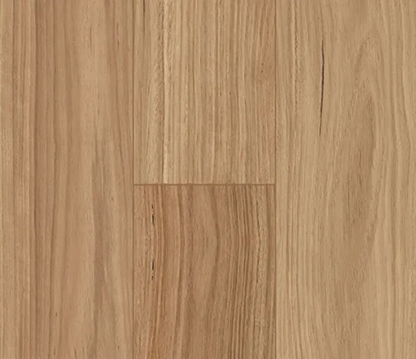 007L1202BB Bb laminate swatch